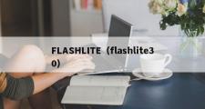FLASHLITE（flashlite30）